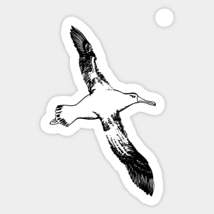 Lone Wandering Albatross Sticker